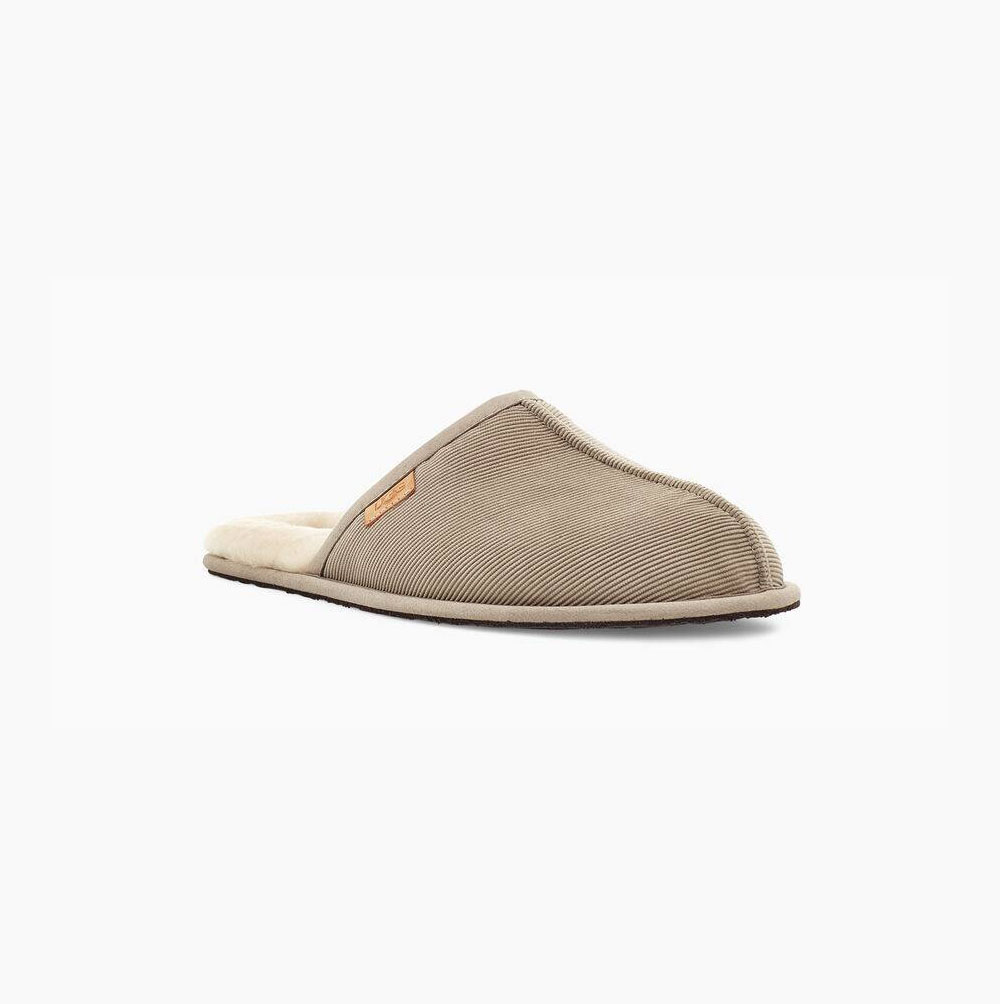 UGG Scuff Corduroy - Tøfler Herre - Beige (NO-W224)